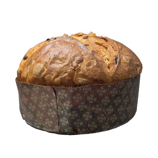 Classic Panettone