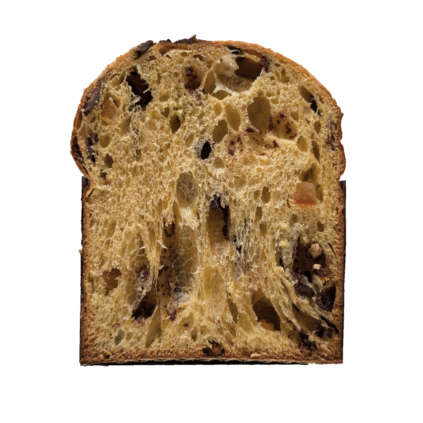 Classic Panettone